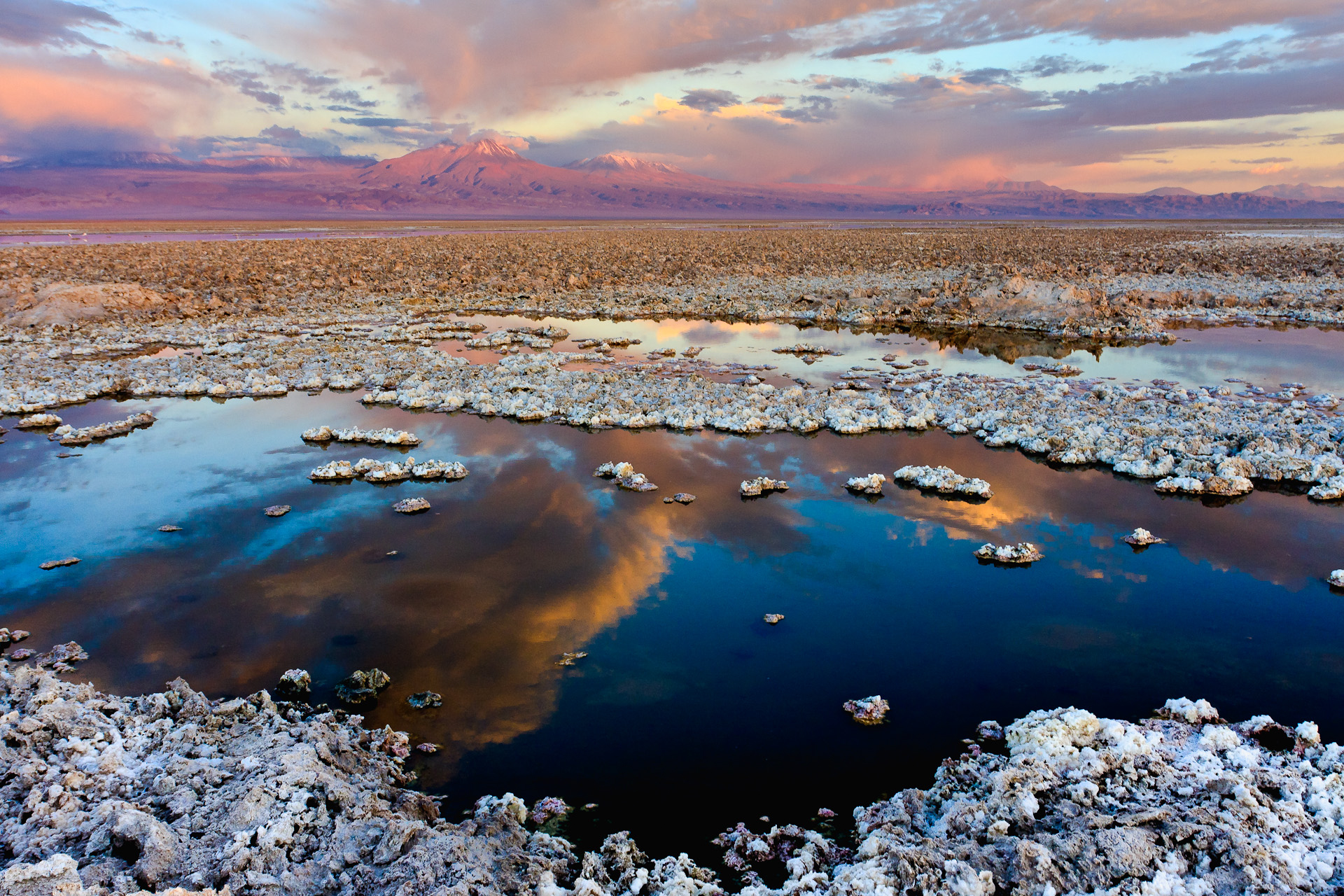 Atacama — Salar & Tatio