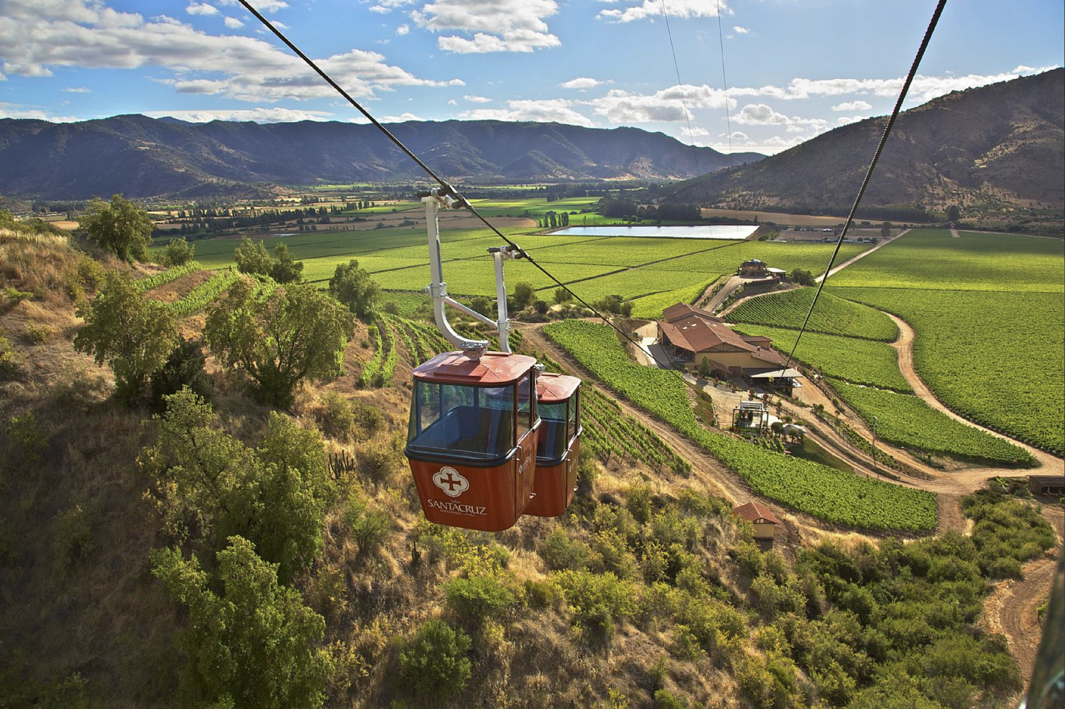 Vendimia en el Valle de Colchagua — viñedos y cordillera