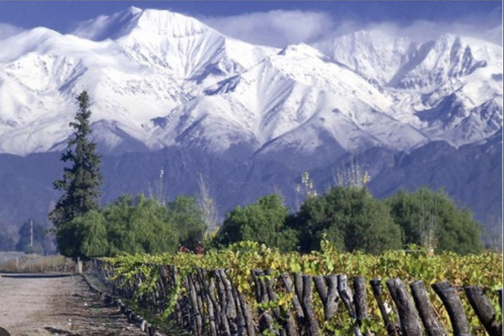 Cordillera nevada sobre viñedos — Viajes a Medida